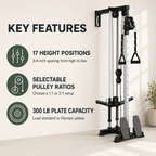 Plate-Loaded Wall-Mounted Cable Machine with 17 Positions, 1:1 and 2:1 Pulley Ratios, 300 lb Capacity and Removable Row Footplates